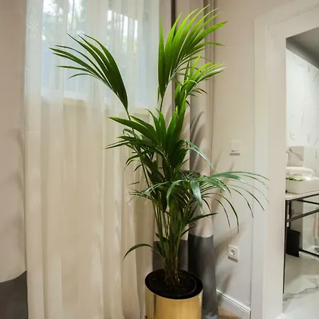 Club 5 Boutique سبليت