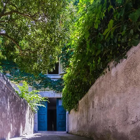 Club 5 Boutique سبليت