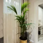 Club 5 Boutique Сплит